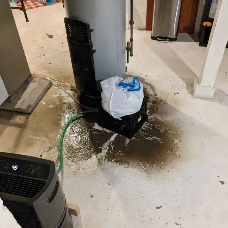 Sewage Backup Cleanup Service in Elk City, OK